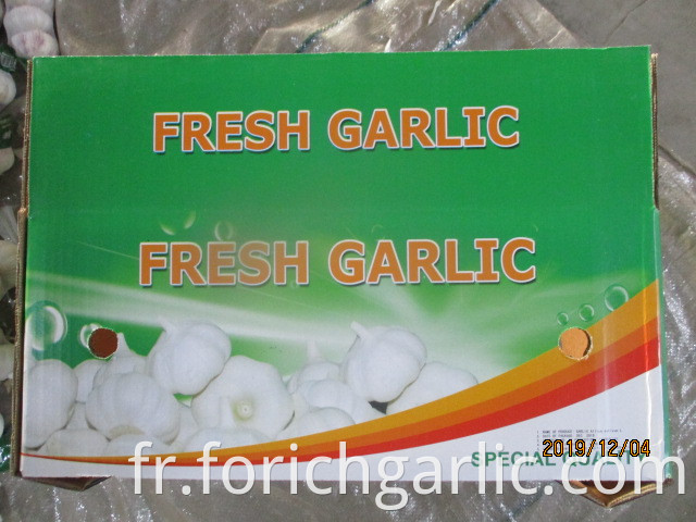 Where Can I Buy Fresh Garlic